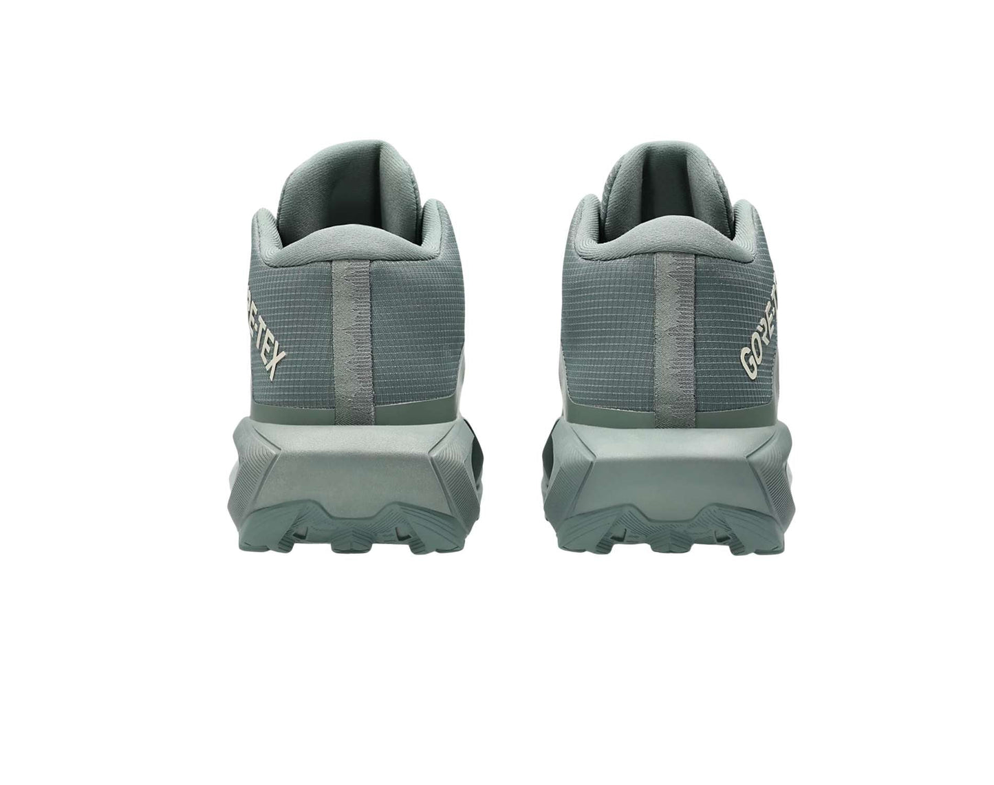 Asics GEL-Trabuco MT GTX Womens Trail Running Shoes